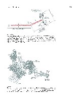 Bhagavan Medical Biochemistry 2001, page 494